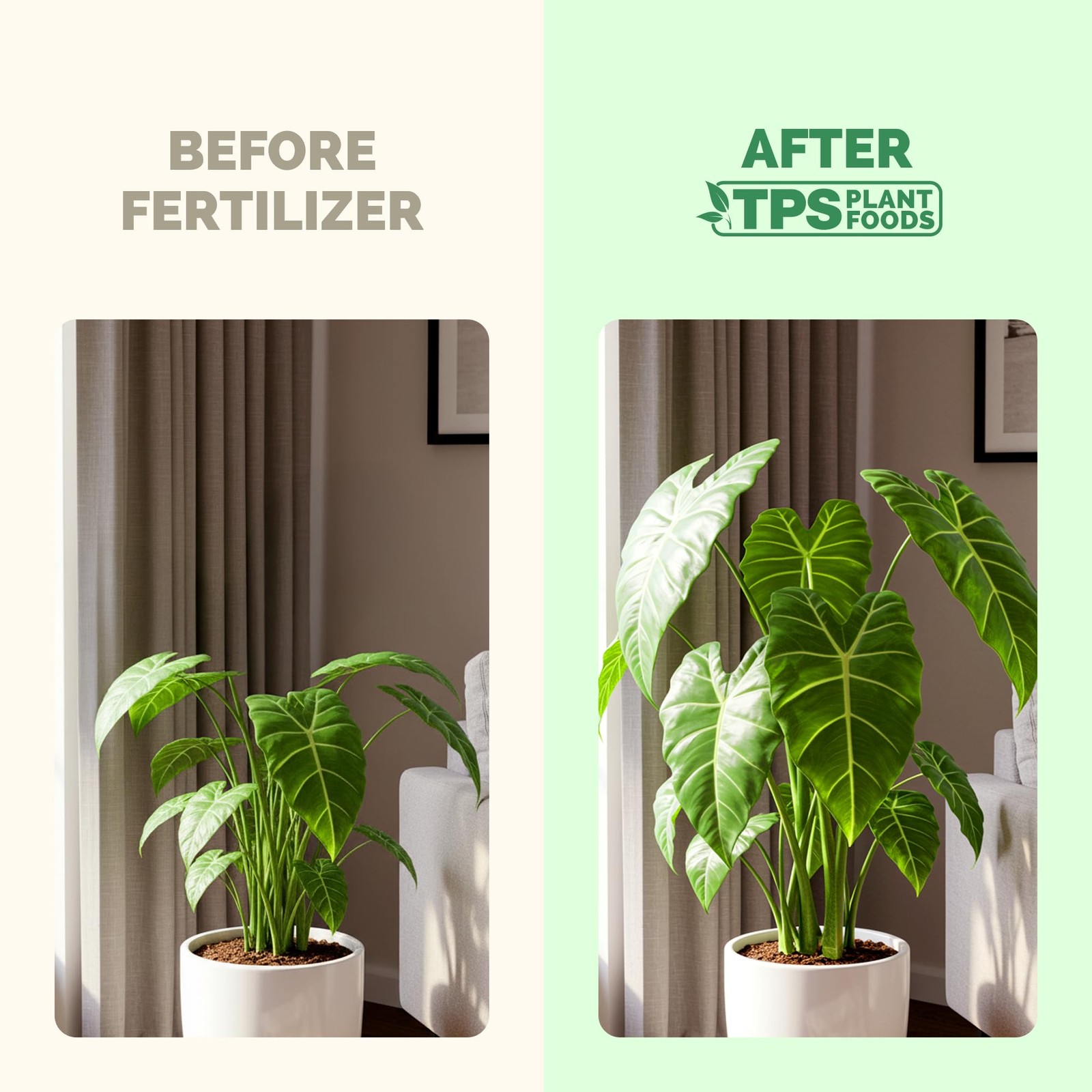 Elephant Ear Fertilizer – Liquid Plant Food for Bigger 8 oz (1/2 Pint)