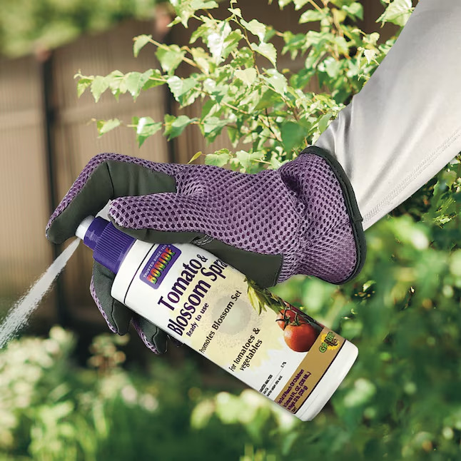 Bonide 8-oz Blossom Spray