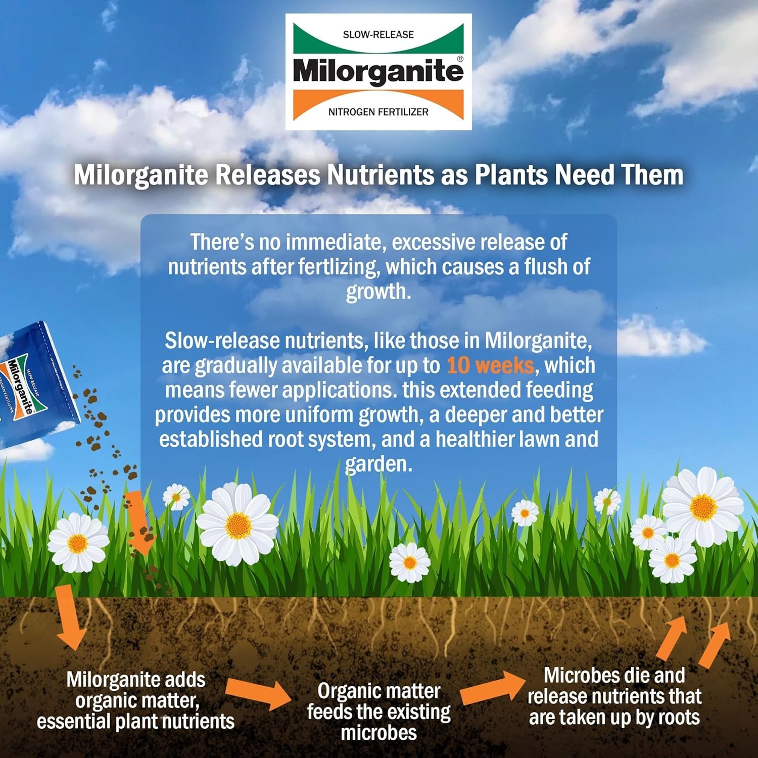 5 lb All-Purpose Organic Fertilizer with Slow-Release Nitrogen for Healthy Lawns