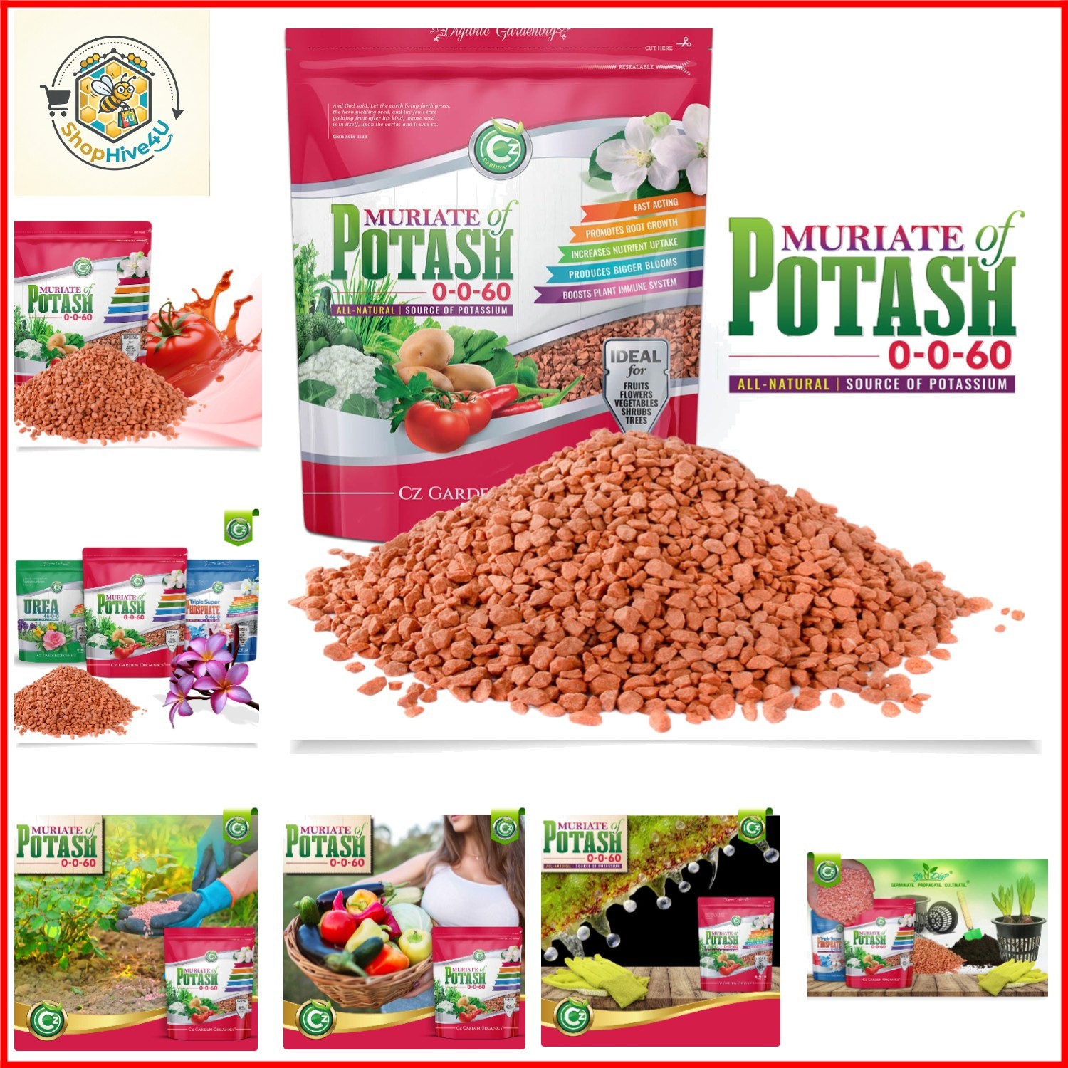 Muriate of Potash 0-0-60 Fertilizer – MOP Potassium Plant Food for Indoor/Ou…