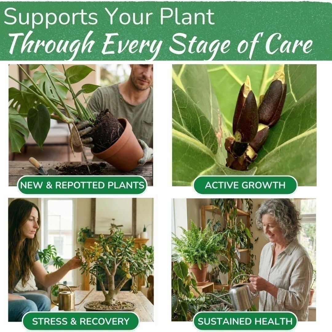 Indoor Plant Food – Organic Liquid Fertilizer for Pothos, Monstera & More (8oz)