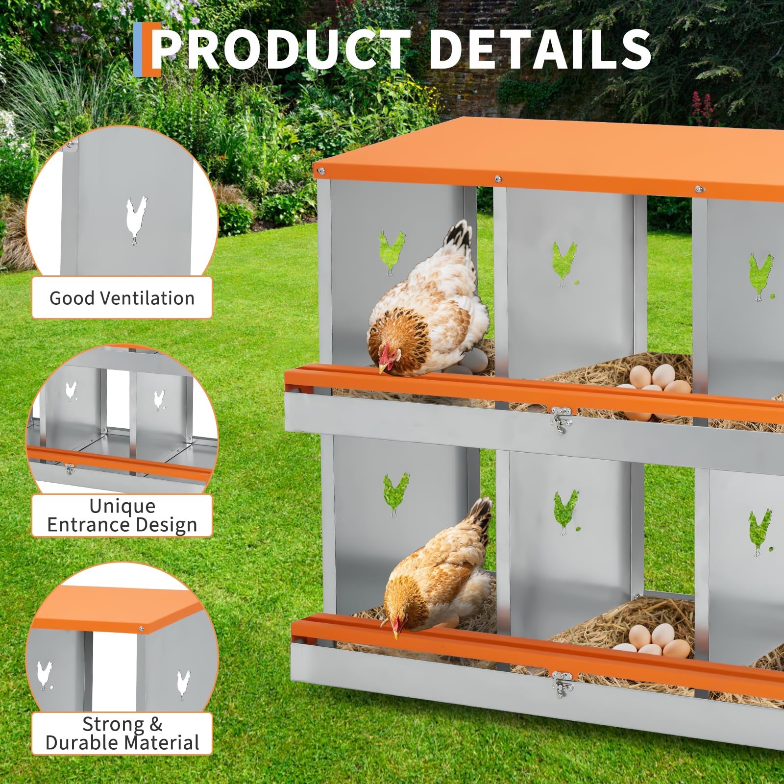 Eliteedge 6 Compartment Nesting Boxes For Chickens Chicken Nesting To Protect