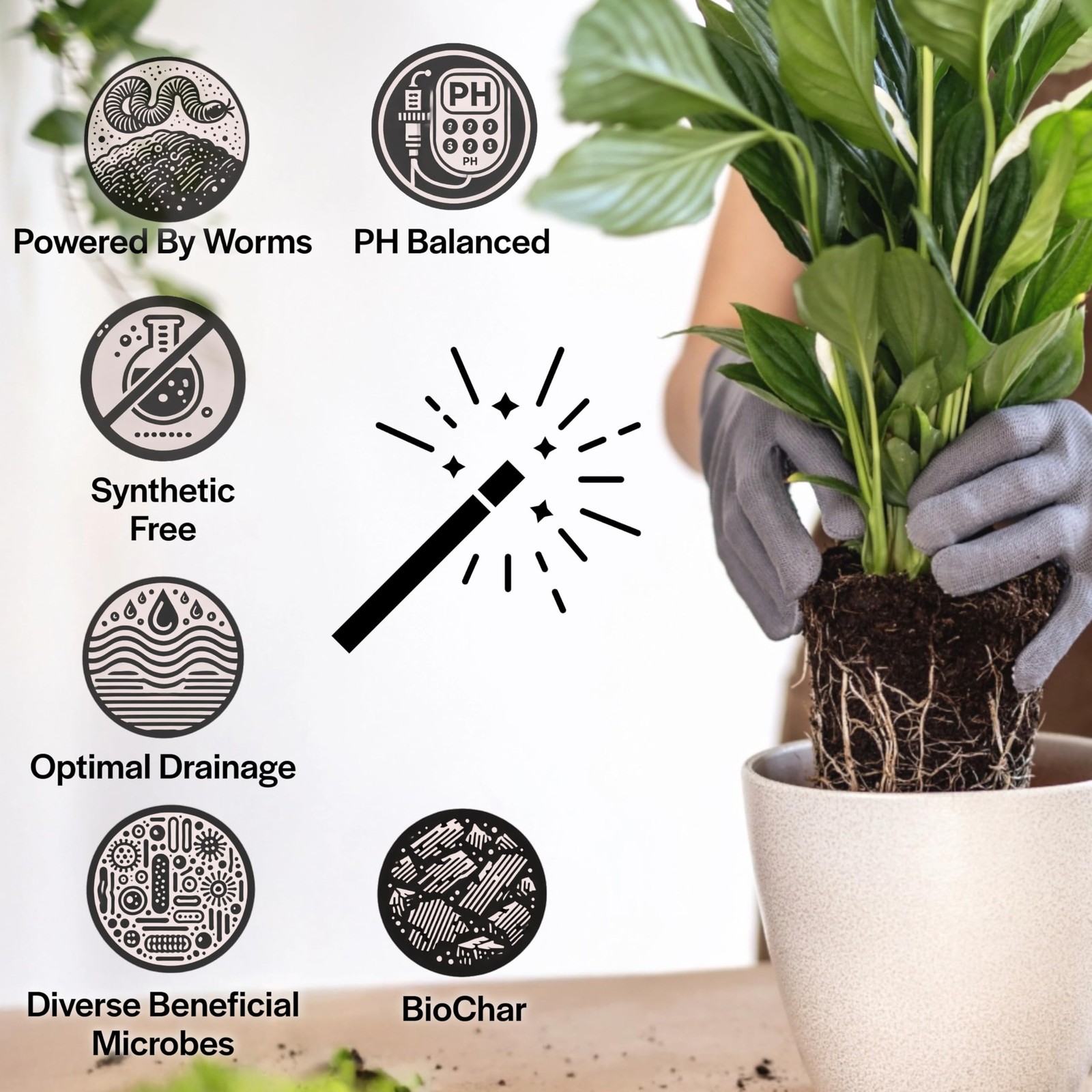 Craft Houseplant Potting Mix, Elite House Plant Soil, Chunky, Well Draining P…