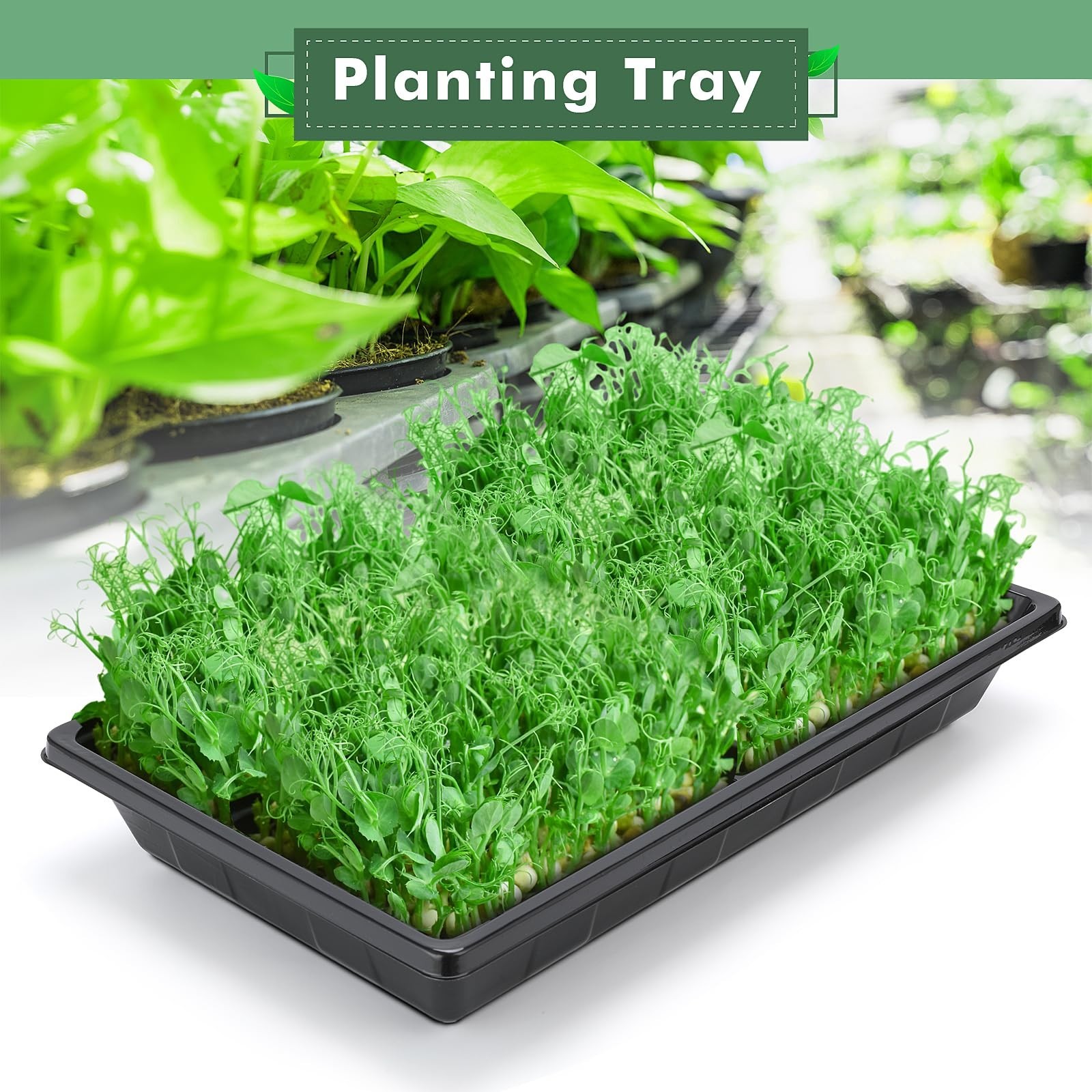 Sckee Upgraded 10 Pack Plant Growing Trays Seed Starting Tray Microgreens Gro…