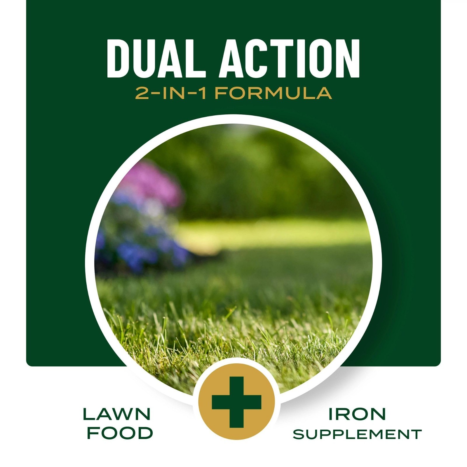 Liquid Lawn Fertilizer & Iron Supplement, 32 oz – All Grass Types, 29-0-0 NPK