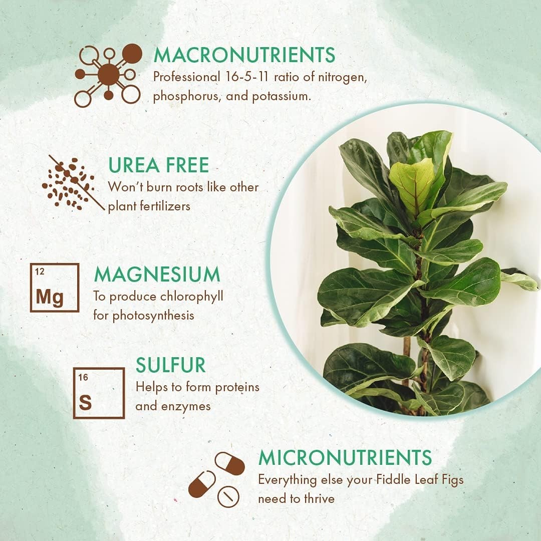 Fiddle Leaf Fig Tree Plant Food – Slow Release Fertilizer Pellets for Potted …