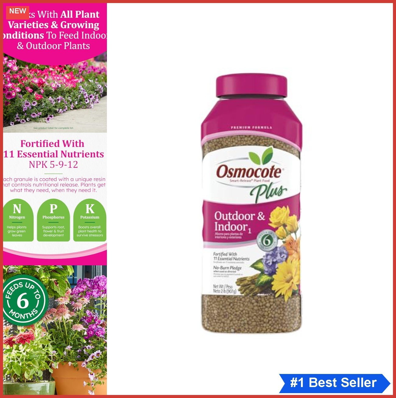 Granular Plant Food Continuous Release 11 Nutrients Indoor Outdoor 2 lb 6 Months