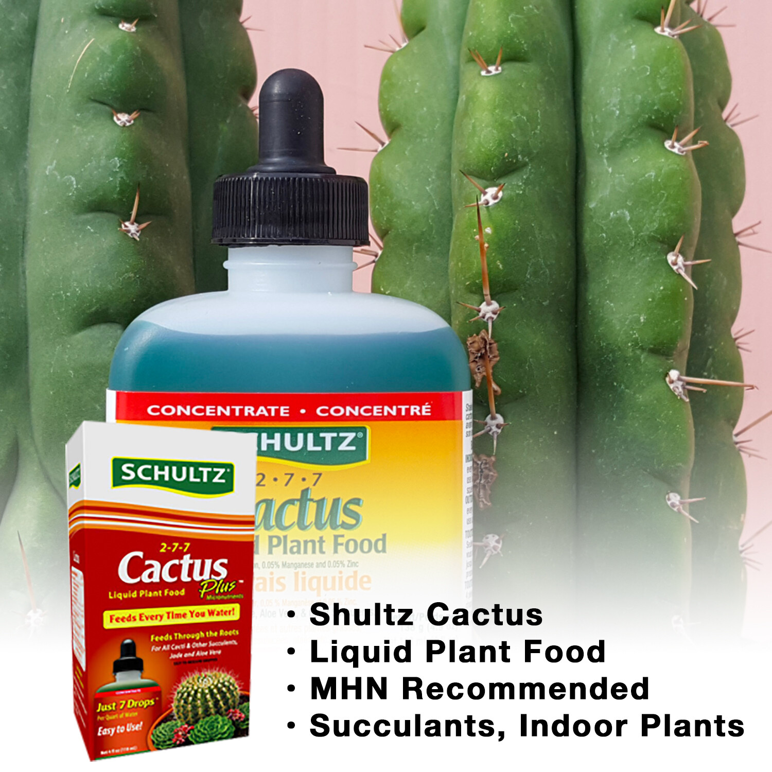 Schultz SPF44300 Cactus Plus Liquid Plant Food Fertilizer for Cacti & Succulents