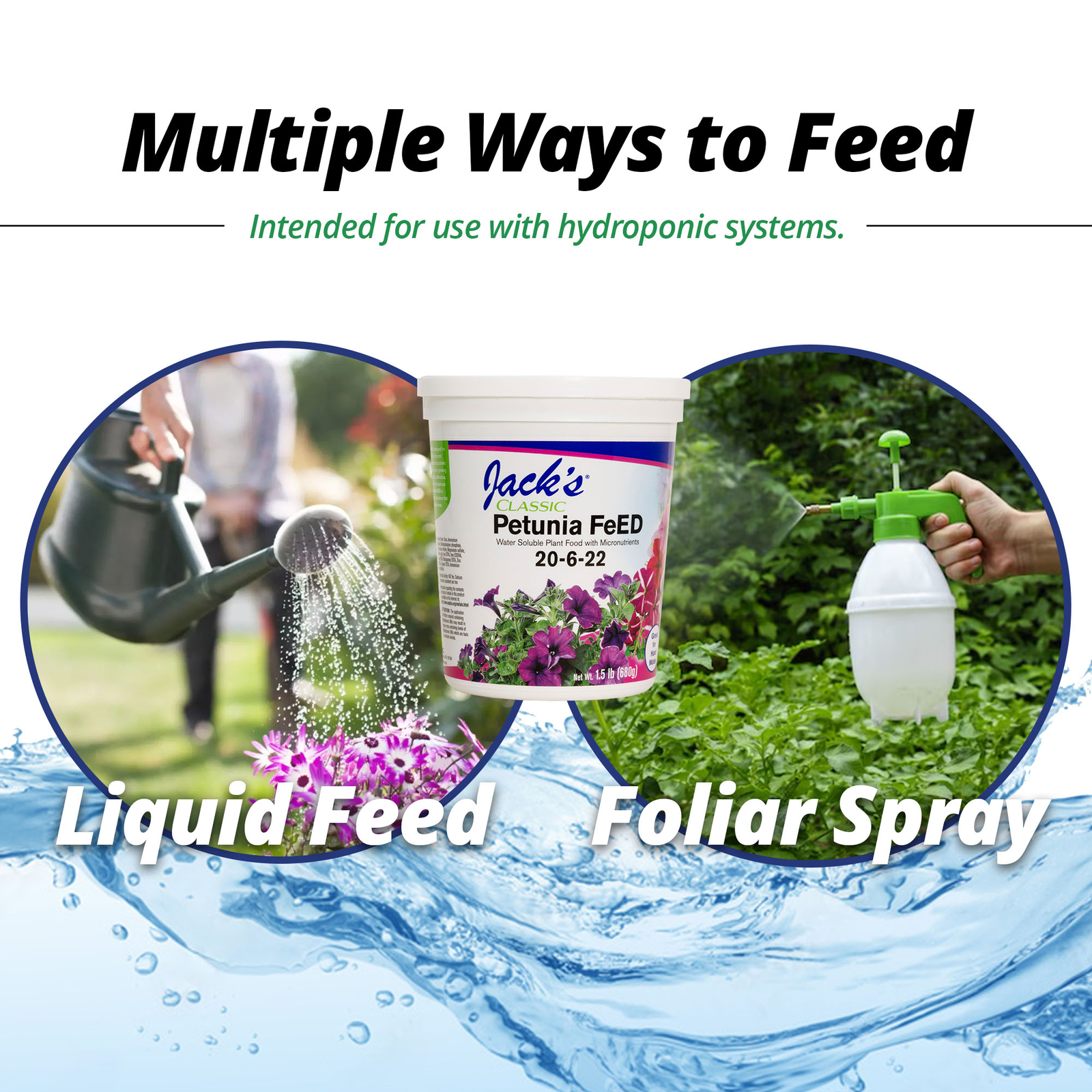 Jack’s Classic 20-6-22 Petunia FeED Water-Soluble Fertilizer, 1.5lbs, 2 Pack
