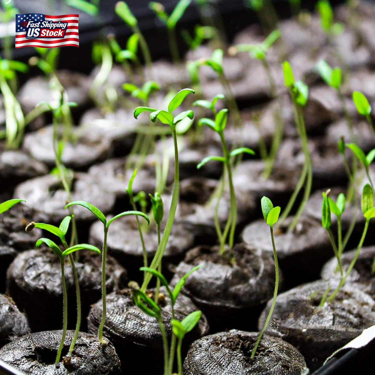MAQIHAN 50PCS Peat Pellets for Seedlings – 30MM Seed Starter Pellets Peat Pods f