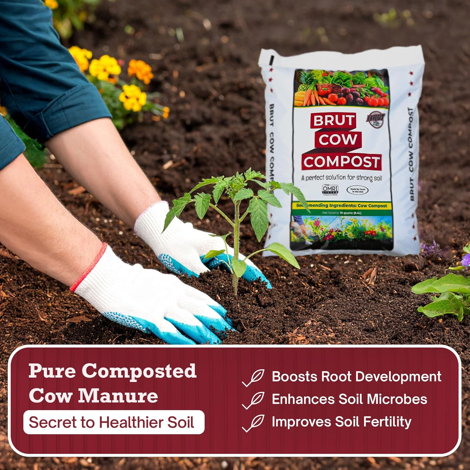 Brut Cow Compost – Nutrient-Rich Composted Cow Manure Organic Soil Amendment – 1