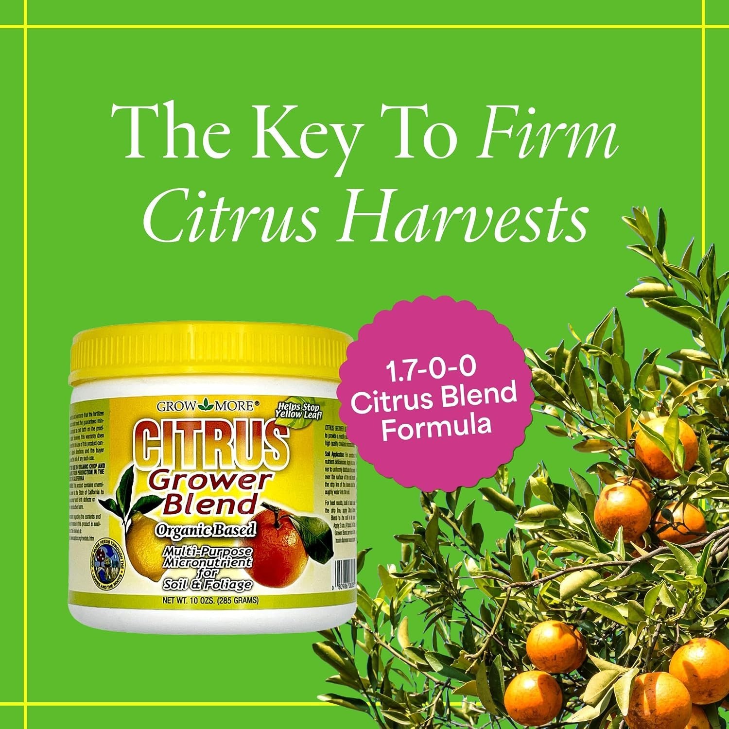 Citrus Fertilizer 10oz Organic 1.7-0-0 Chelated Micronutrients