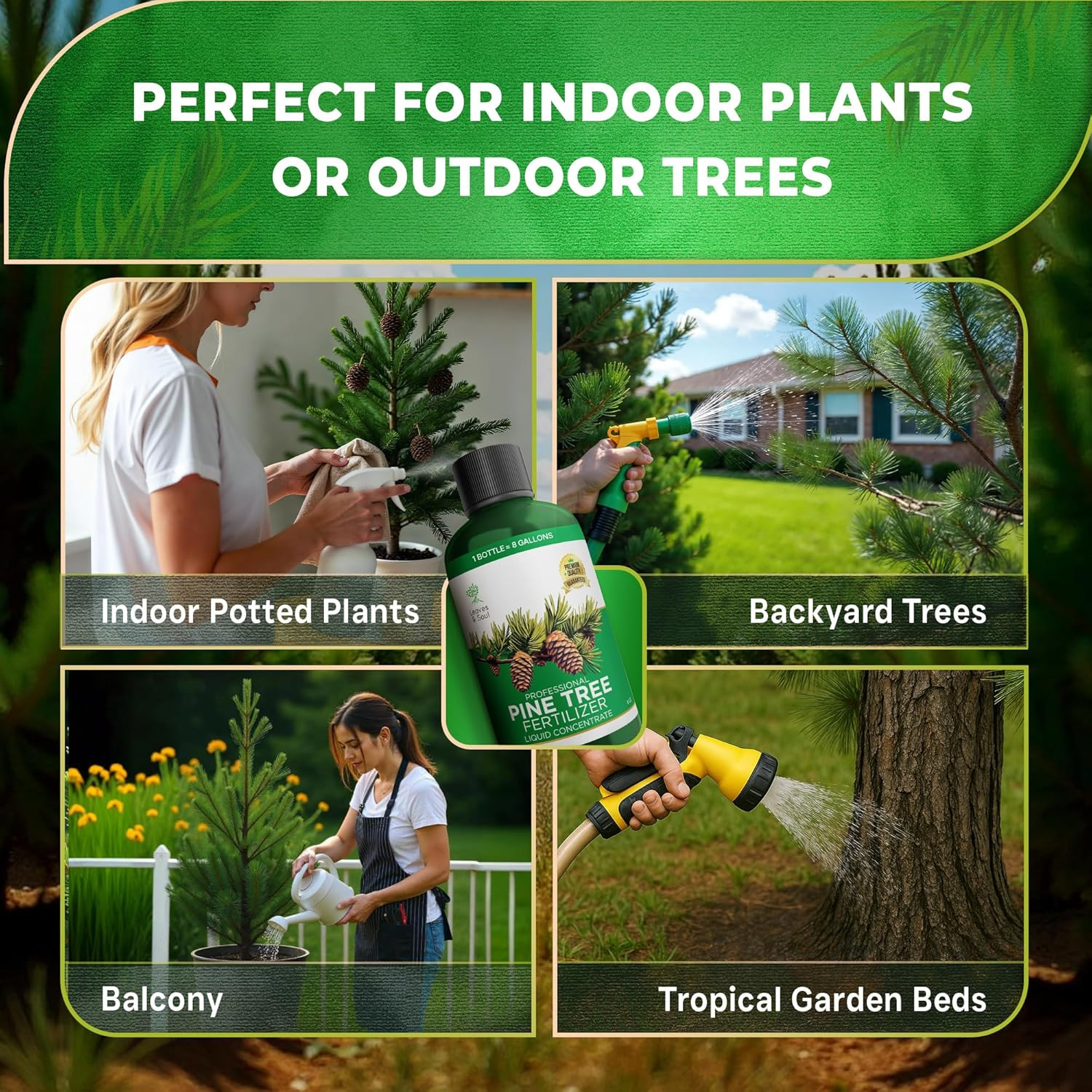 Professional Pine Tree Fertilizer Liquid Concentrate – 6-4-6 Blend for Pine, Gar