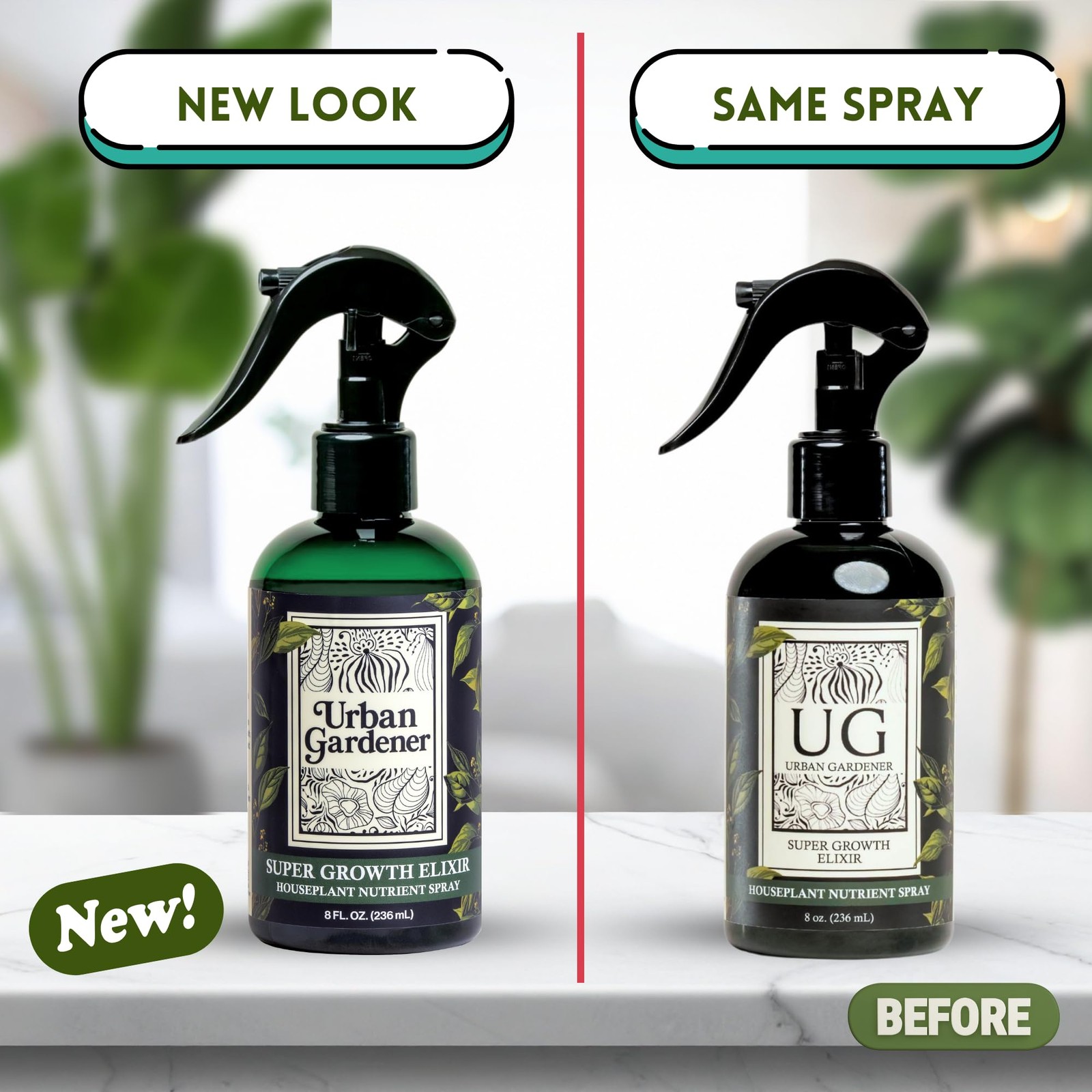Organic Leaf Wellness Spray for Plants – Protect & Nourish Your Plants w/Chit…
