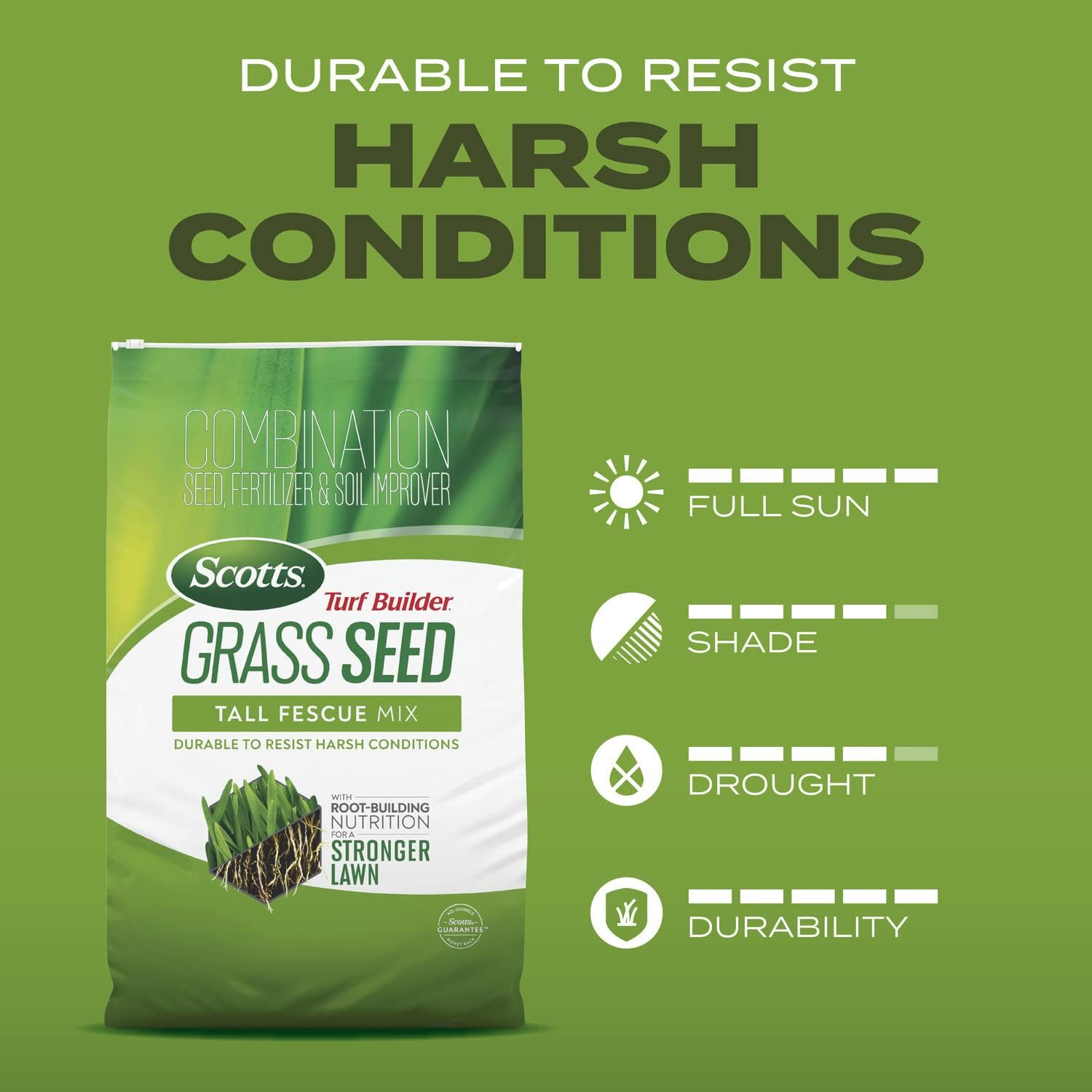 Grass Seed Tall Fescue Mix with Fertilizer and Soil Improver, 5.6 lbs