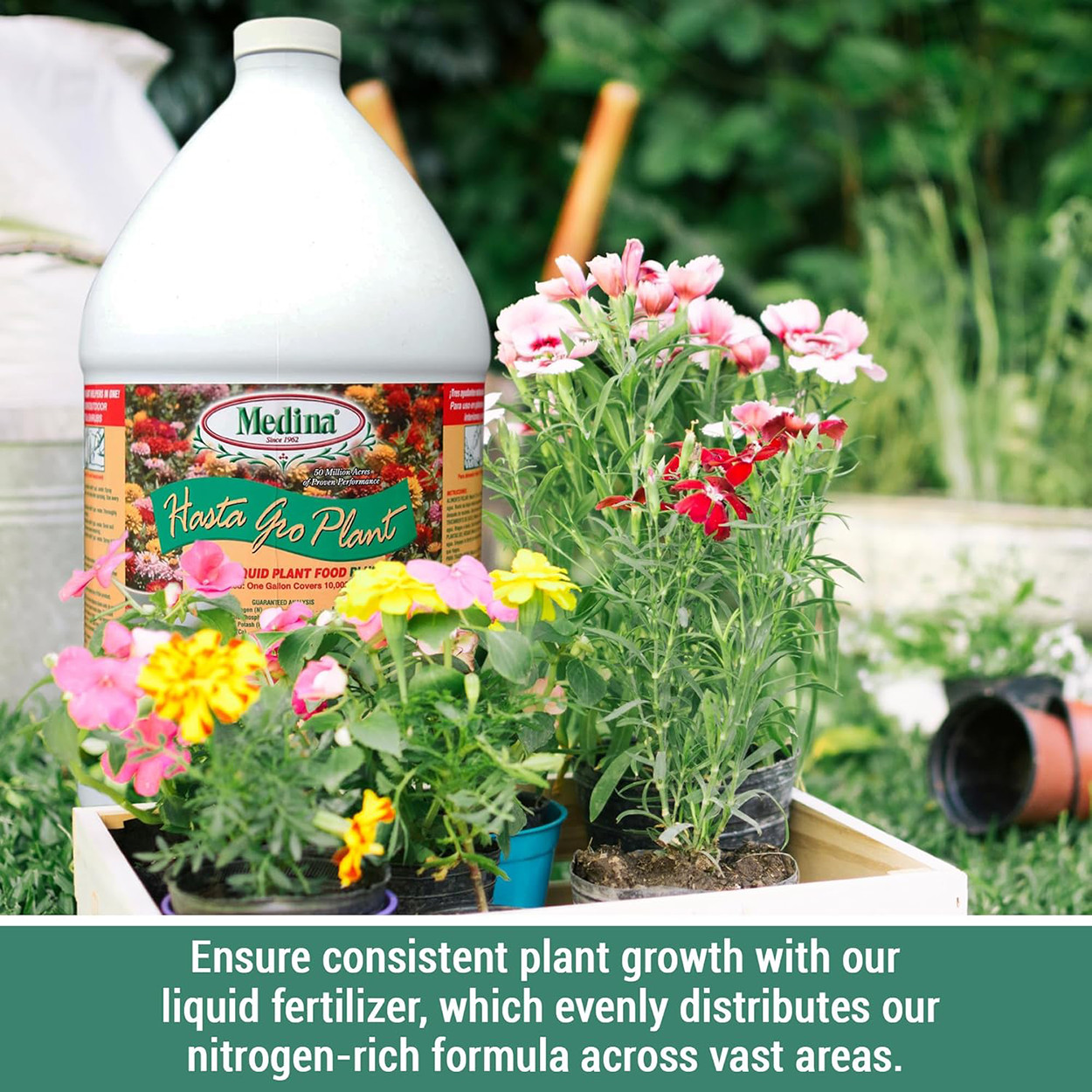 HastaGro Plant Food 6-12-6 Concentrate 128 fl oz by Medina
