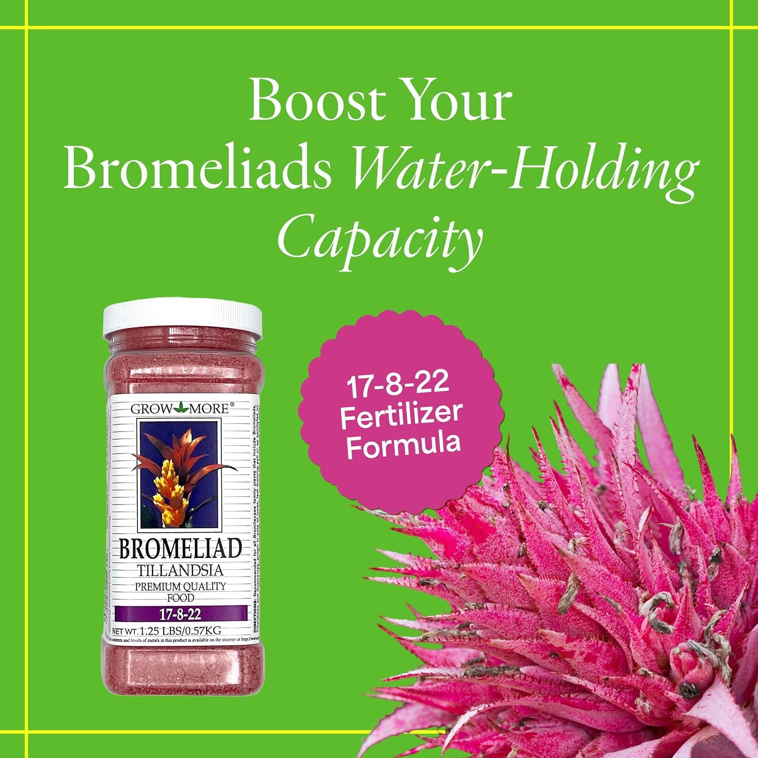 Bromeliad Tillandsia Food 17-8-22) 1.25lbs Water Soluble Air Plant Fertilizer
