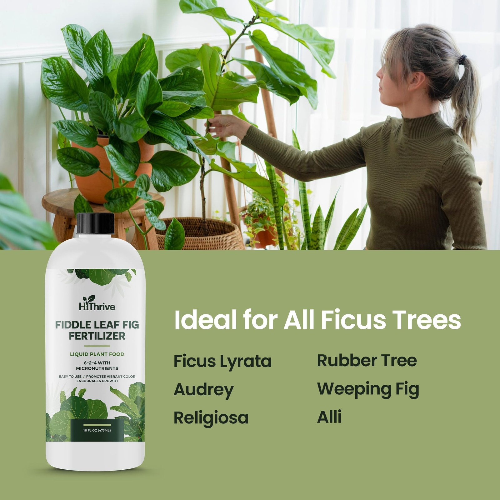 16oz Fiddle Leaf Fig Plant Food – Makes 96 Gallons of 16 oz (1 Pint)