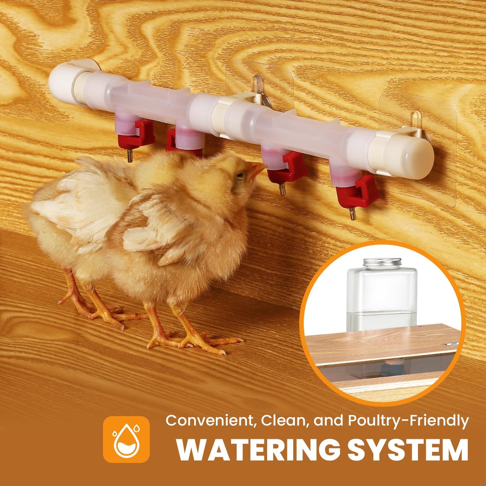 Proshine Brooder for Chicks 32″ x 16″ x 16″ Holds Up to 30 Chicks