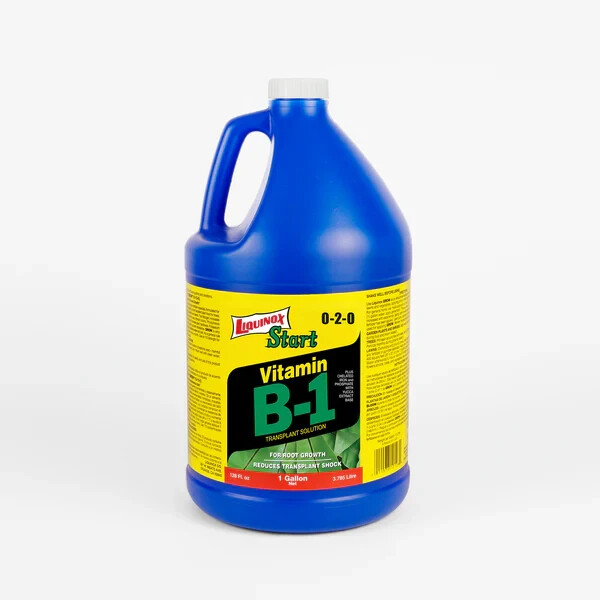 Liquinox 0-2-0 Start with Vitamin B-1, 1-Gallon