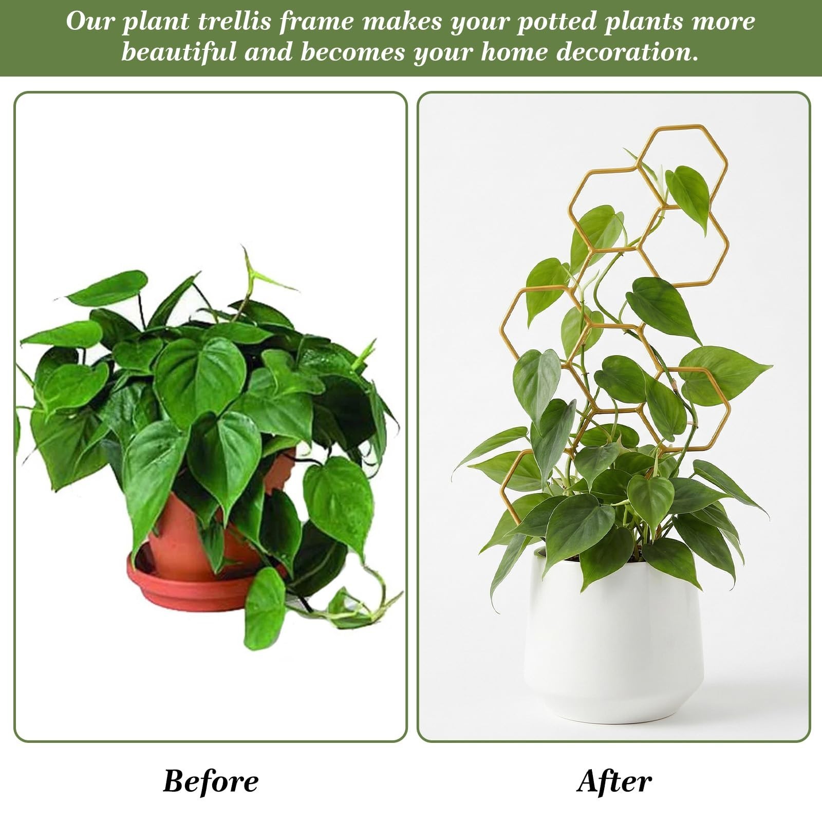 Small Trellis for Potted Plants, 14 Inch Indoor Trellis for Climbing Plants H…