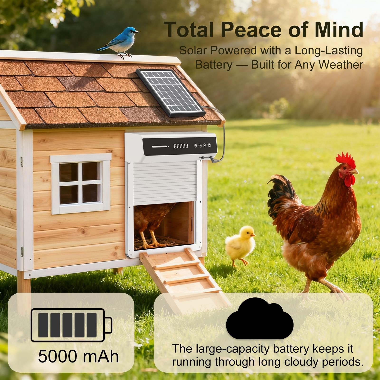 Mowei Automatic Chicken Coop Door Solar Battery Powered Weatherproof Aluminum
