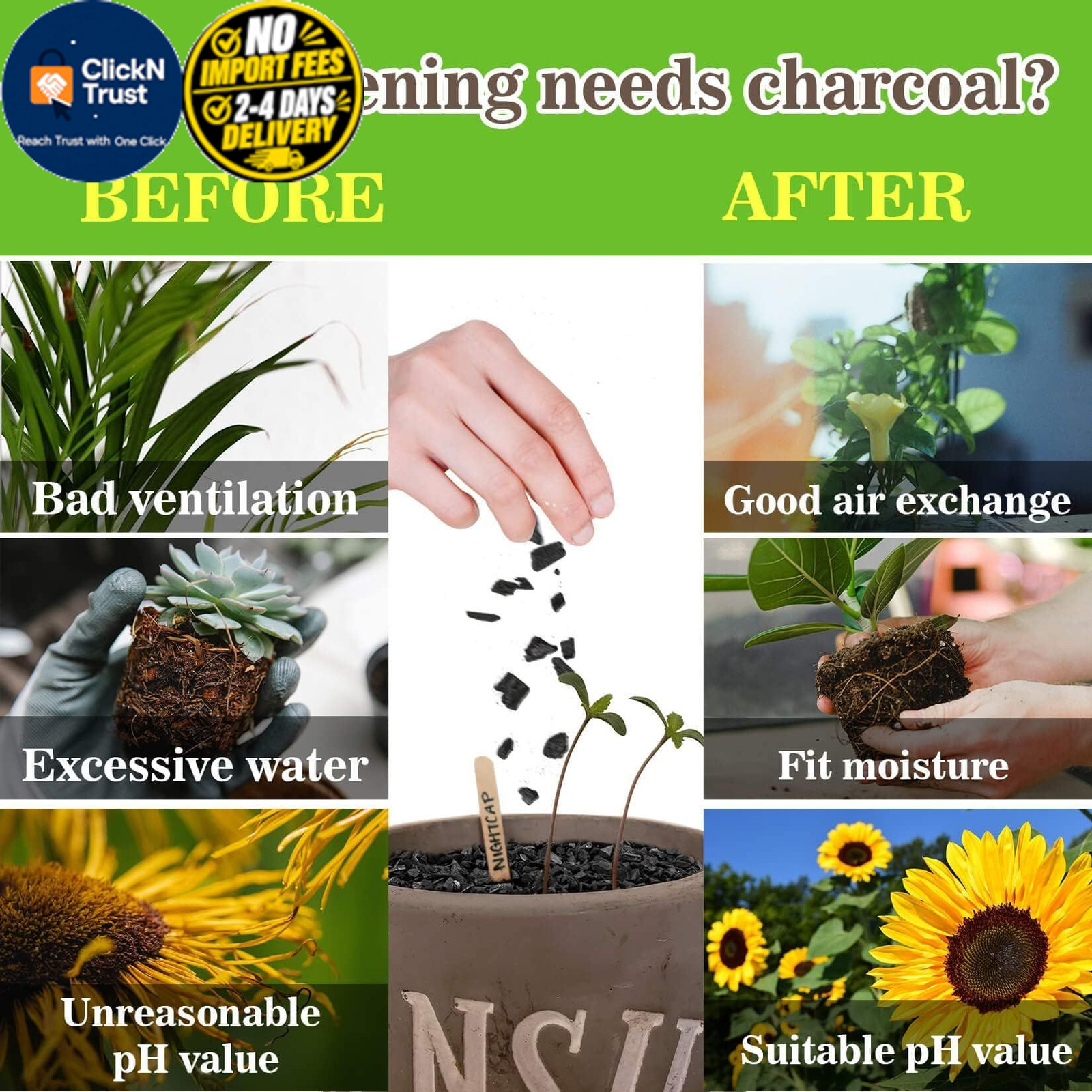 RAINFLOW Horticultural Charcoal for Plants – 290G Natural Earth Regulated…