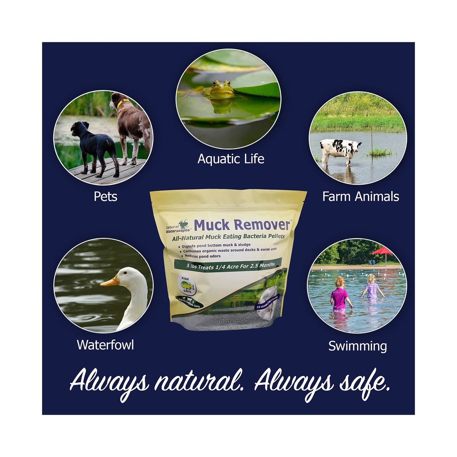 Muck Remover Pellets 10 lb Pond Tablets Treats 2.5 Acres – Pond Sludge Remove…