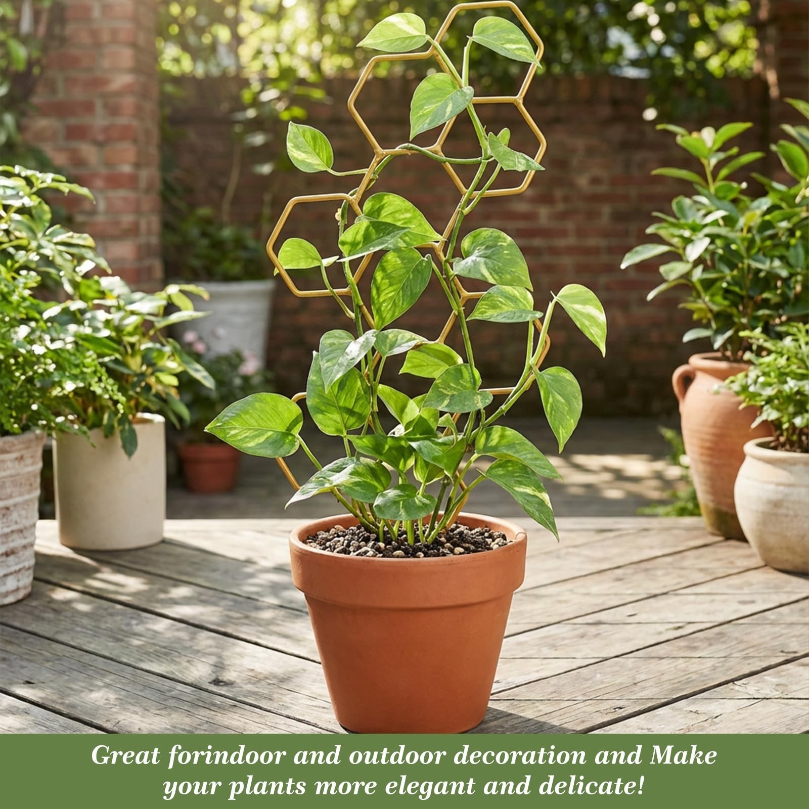 Small Trellis for Potted Plants, 14 Inch Indoor Trellis for Climbing Plants H…