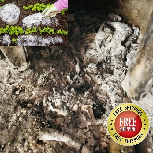 100% Pure Organic HARD WOOD ASH Sifted Natural Gardening Compost Pottery Soap.