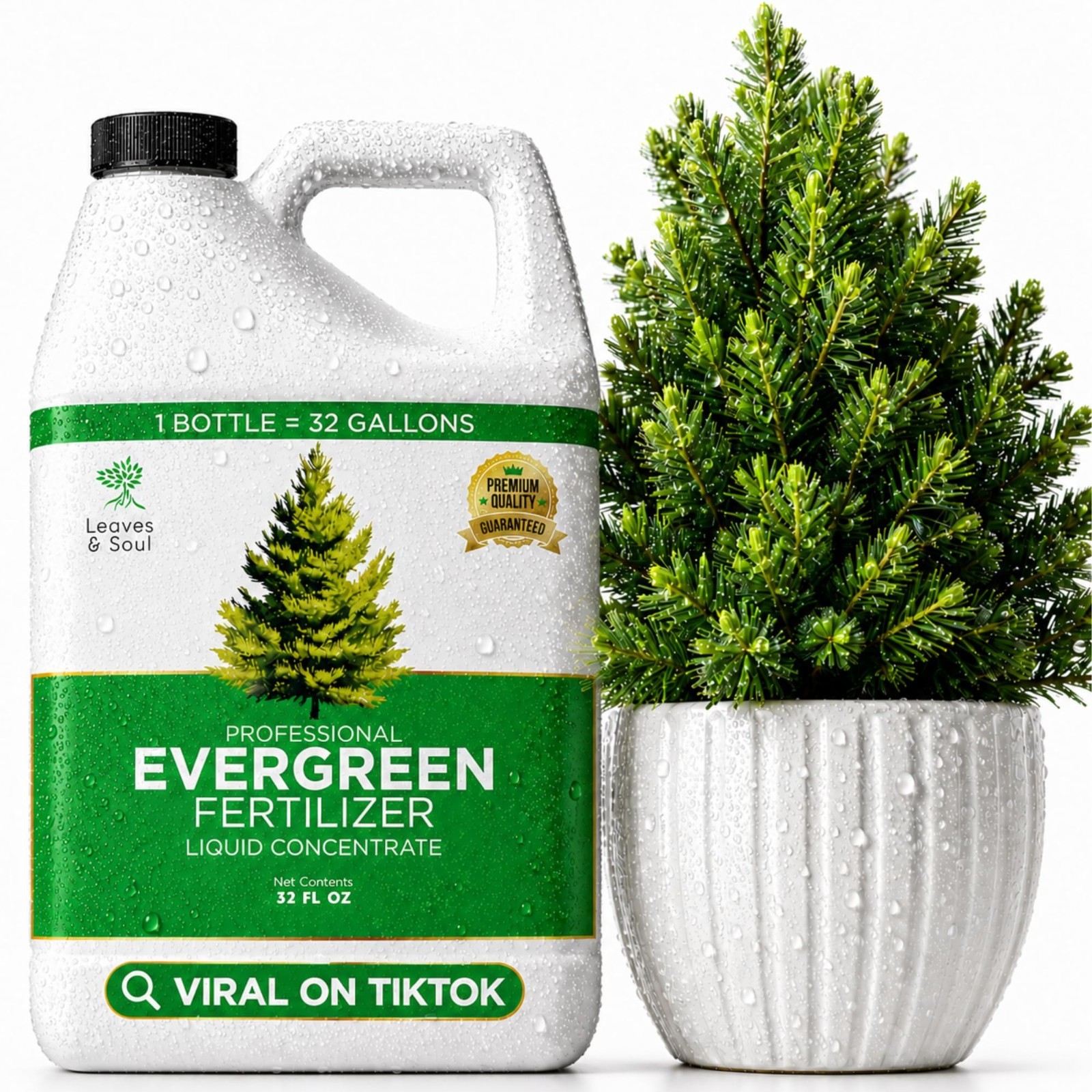 Evergreen Tree Fertilizer 6-4-6 Liquid Plant Food 32 oz for Healthy Growth