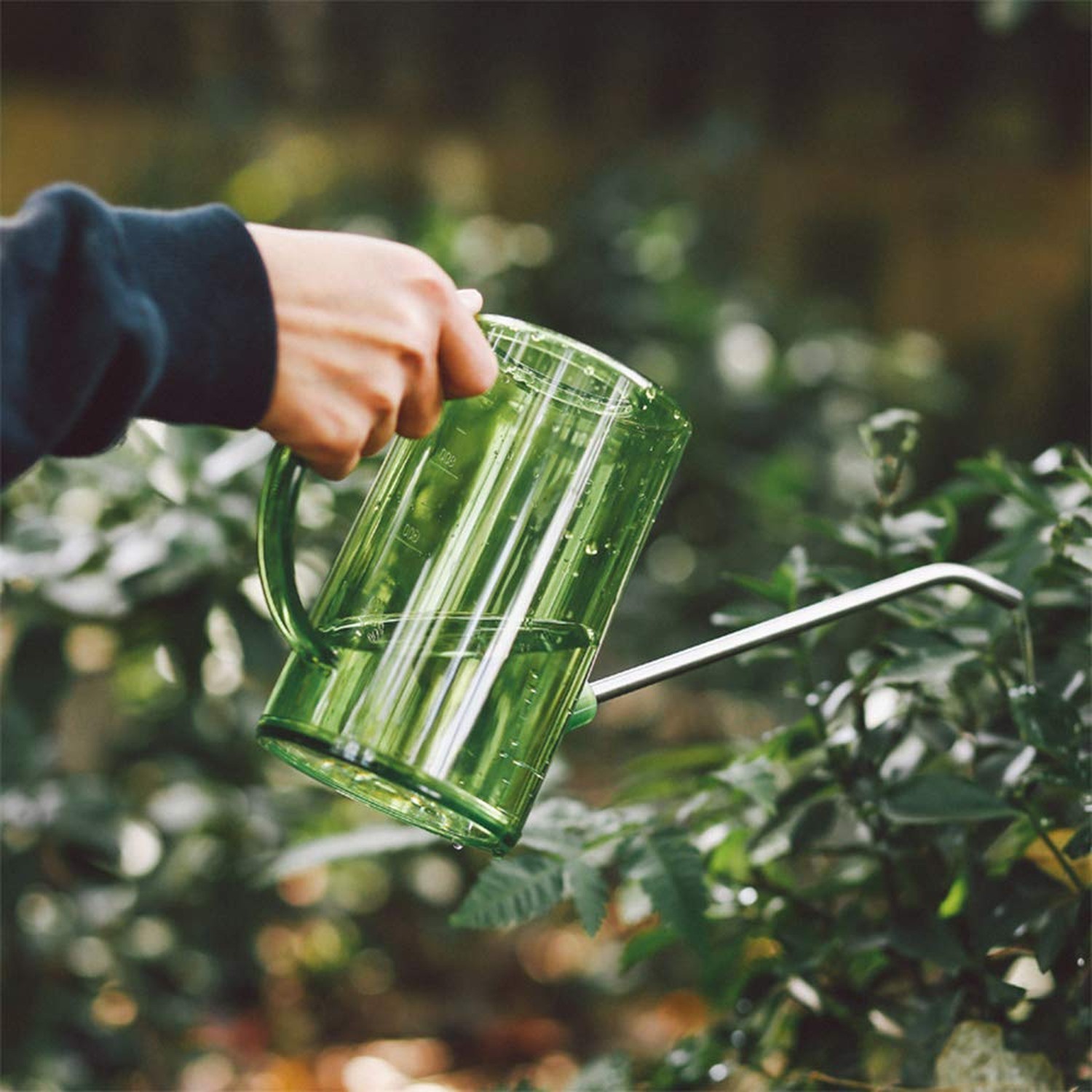 Watering Can Indoor, Small Watering Cans for House Plants, Succulen… Fast Ship