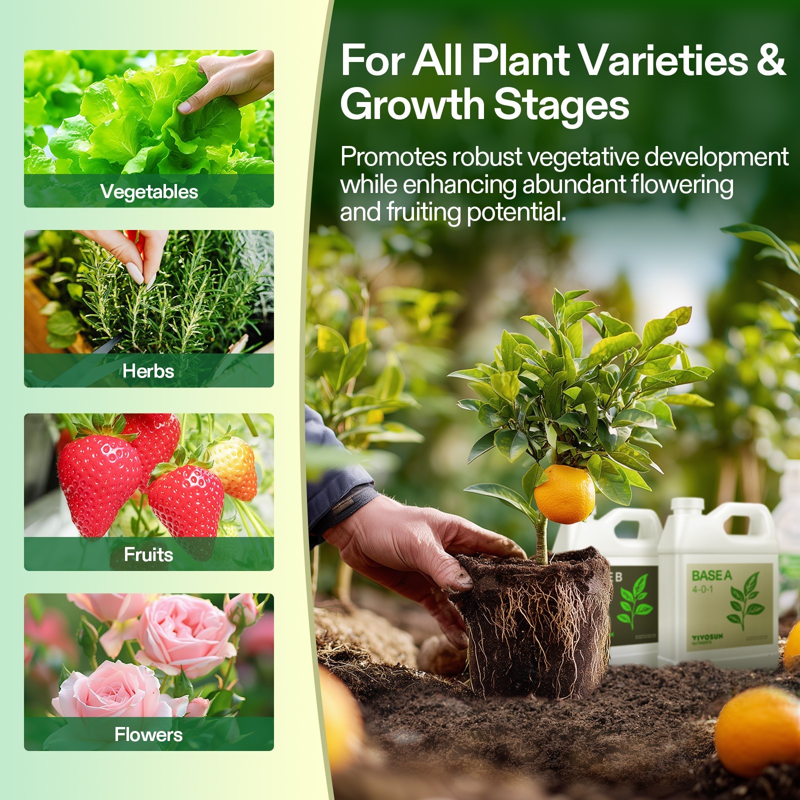 VIVOSUN 32 oz Liquid Nutrients Fertilizer Base A & B Bundle 100% Water Soluble