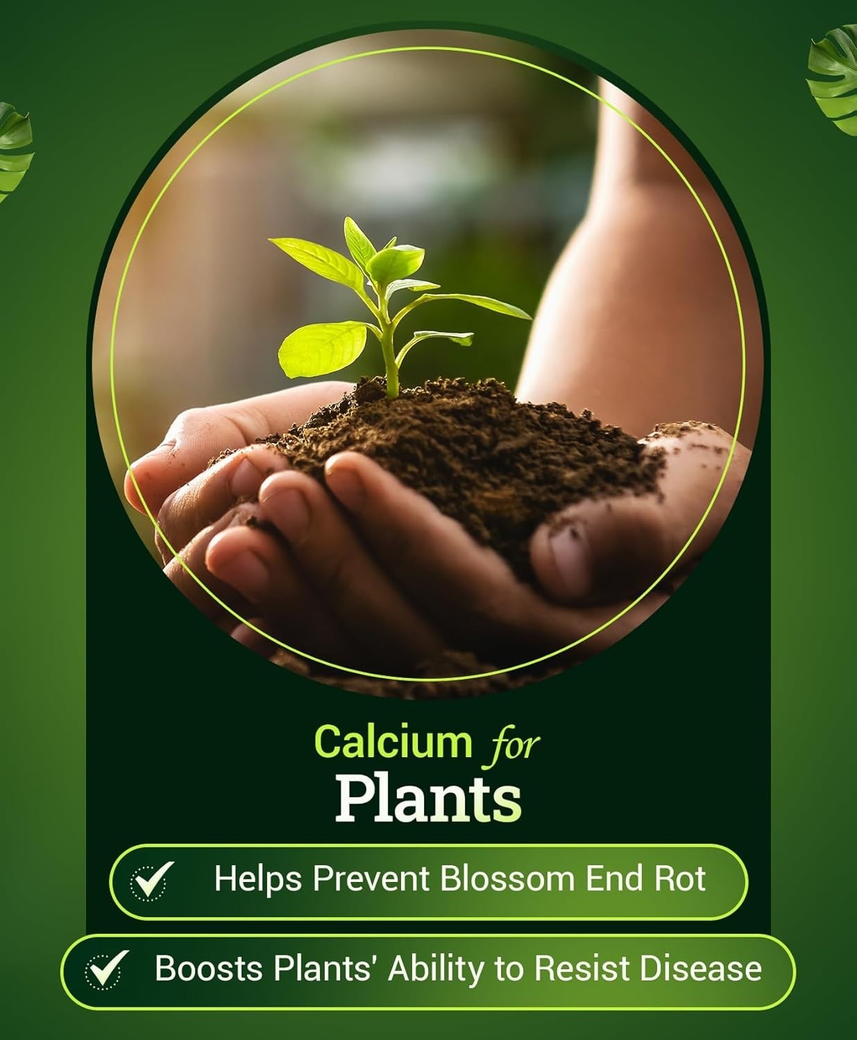 Happy Frog Tomato & Vegetable Fertilizer – Vegetable Fertilizer for Vigorous …
