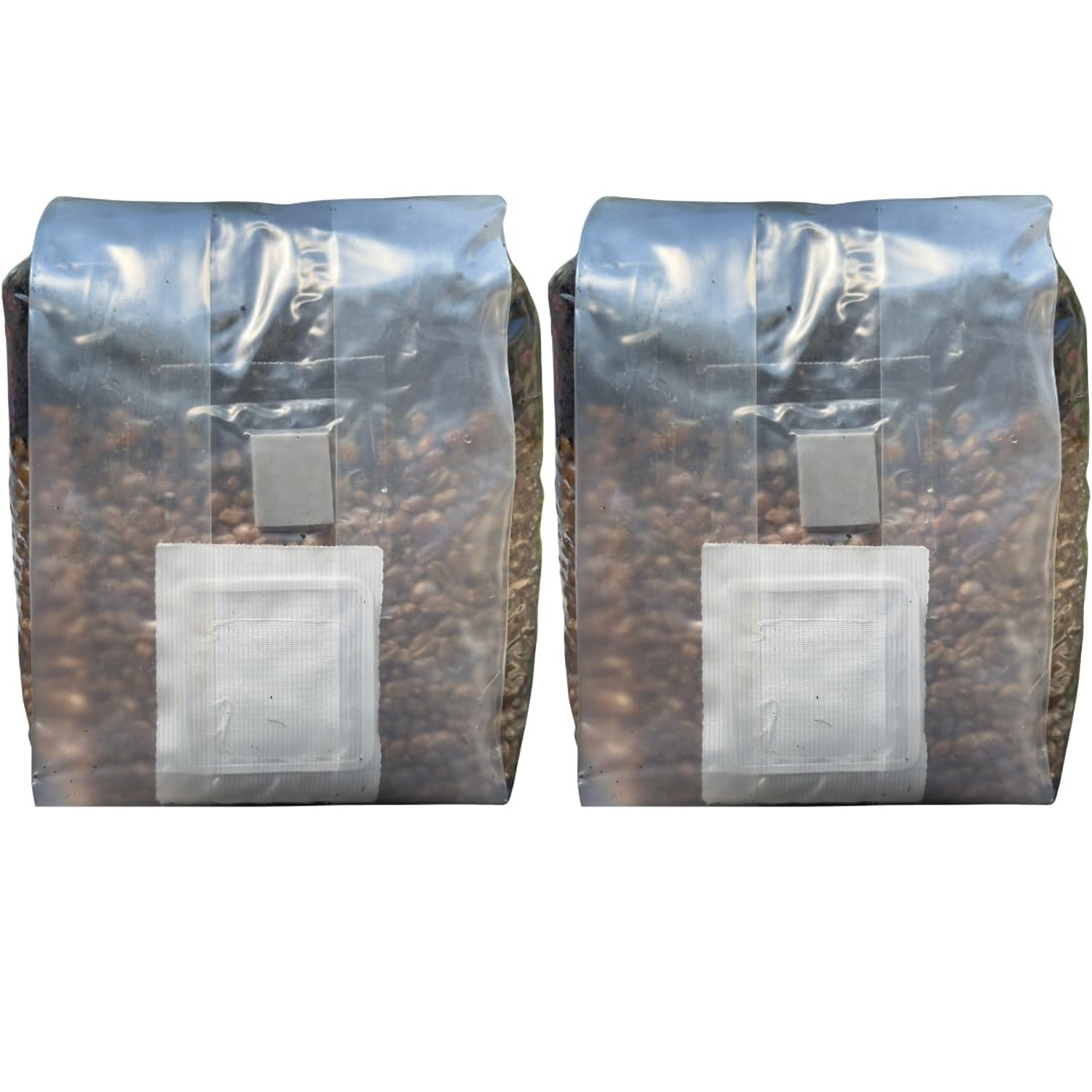 Mushroom Grow Kit – All in One Mushroom Grow Bags (Pack of 2) Pack of 2
