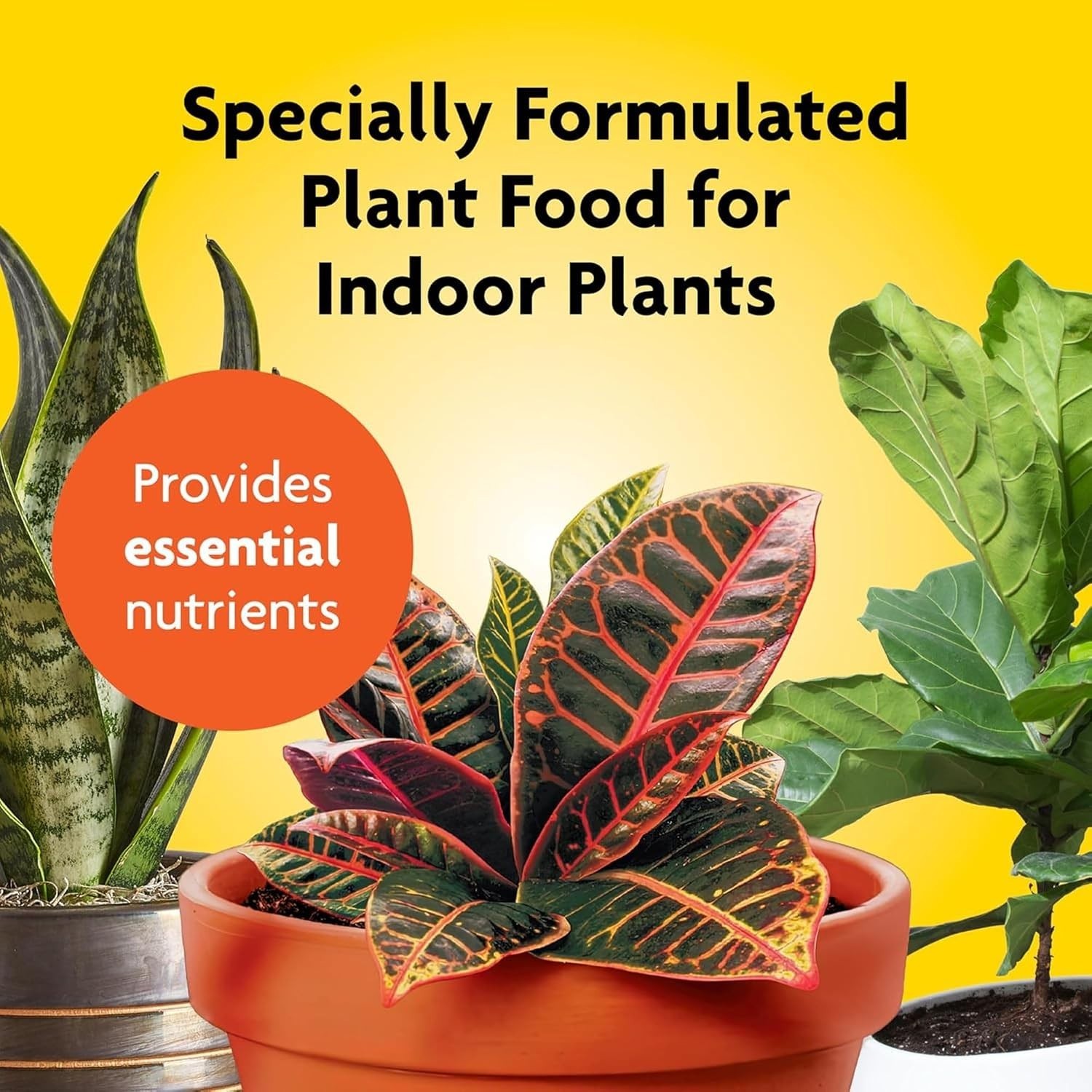 24 Easy-Use Fertilizer Spikes for Flowering & Foliage Houseplants – NPK 6-12-6