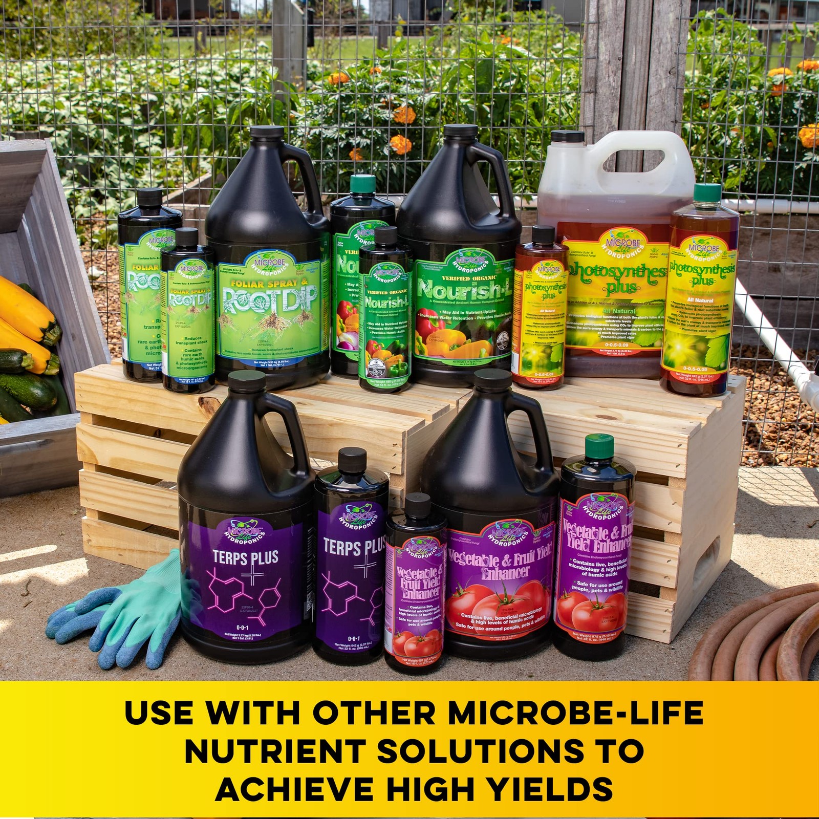 Photosynthesis Plus for Hydroponics Grow Fruits, Vegetables, Herbs, 16oz