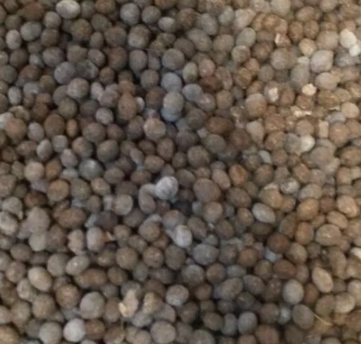 1 Pound Rabbit Manure
