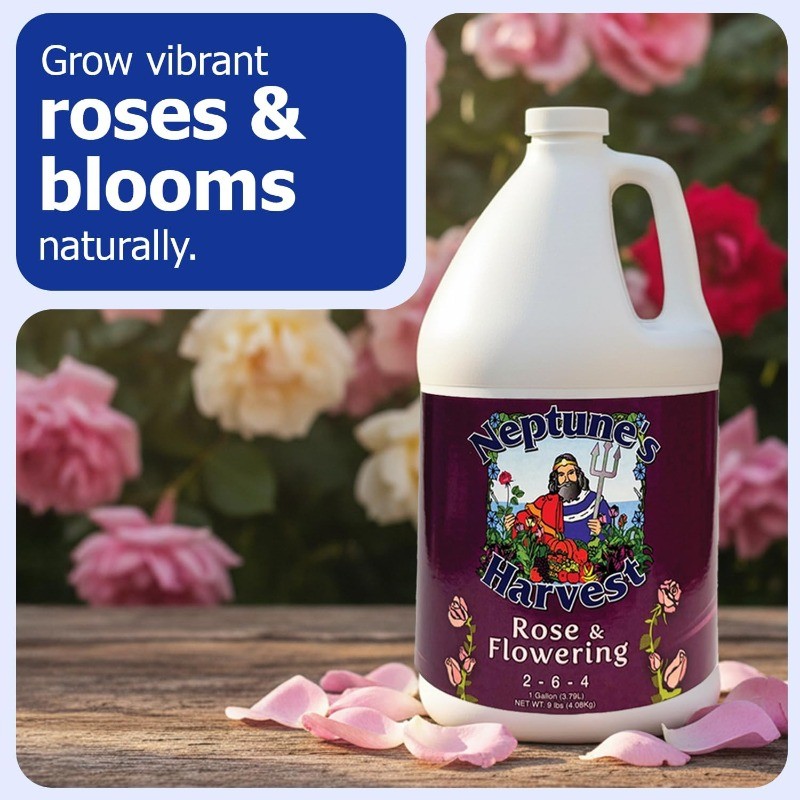 Rose Flowering Fertilizer (2-6-4) 1Gallon – Organic Liquid Rose Food forVibrant