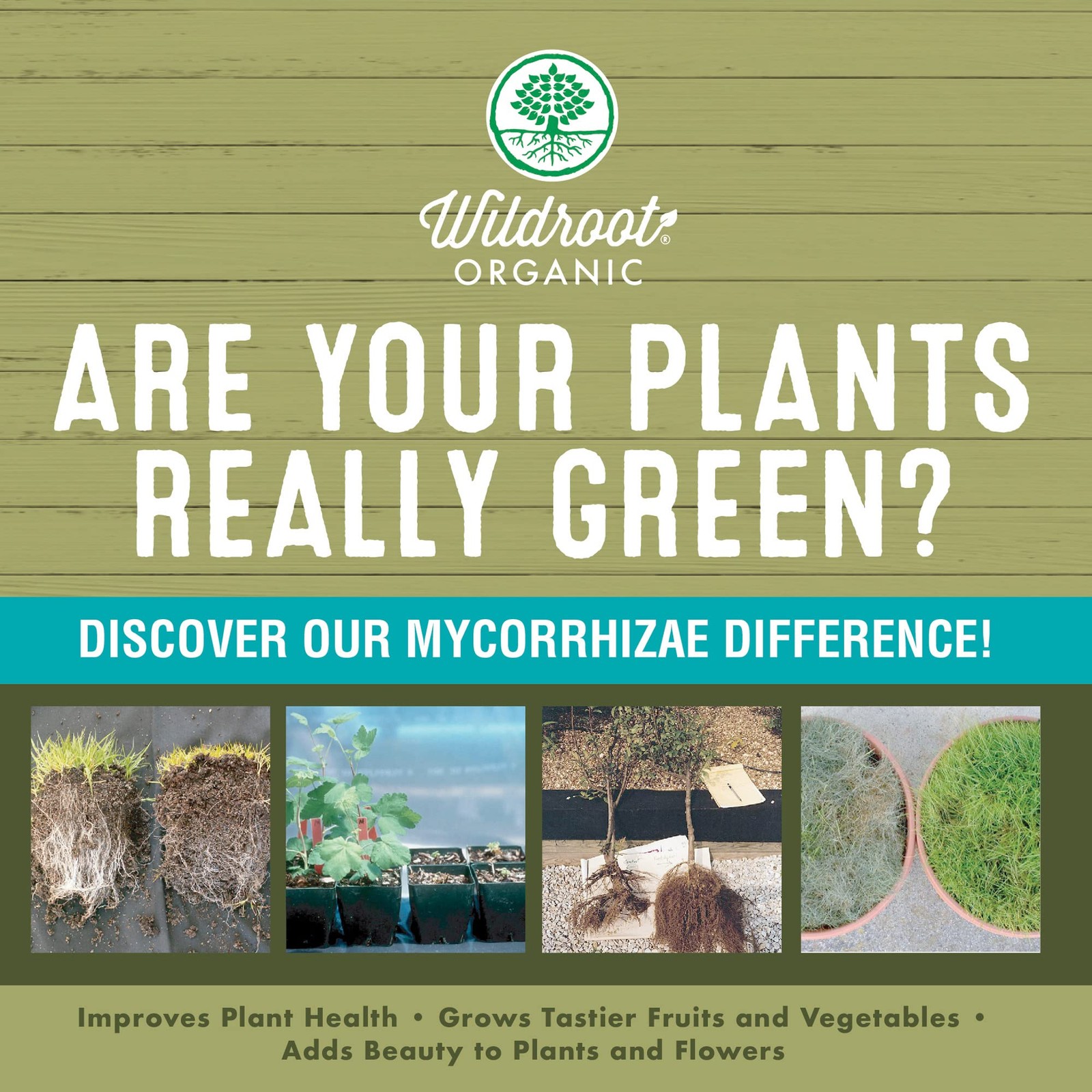 Organic 5 oz Mycorrhizae 16 Species Inoculant Treats 6,000 4-Inch Plants. Exp…
