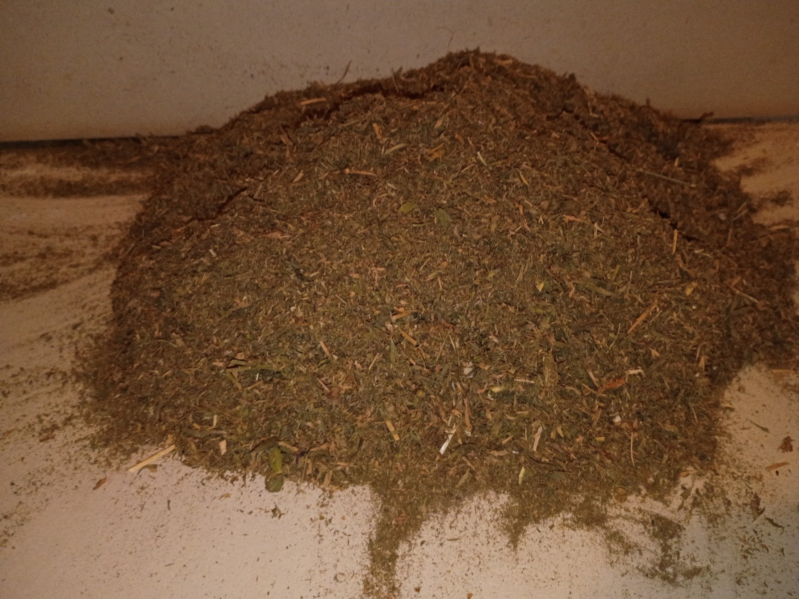Alfalfa Meal 4 Lbs, Great for Vegetable Gardens, Roses, House & Container Plants