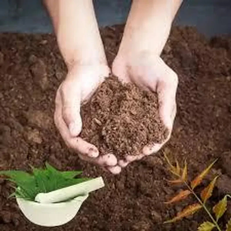 Pure Neem Cake Powder Fertilizer Organic Soil Conditioner Plant Food