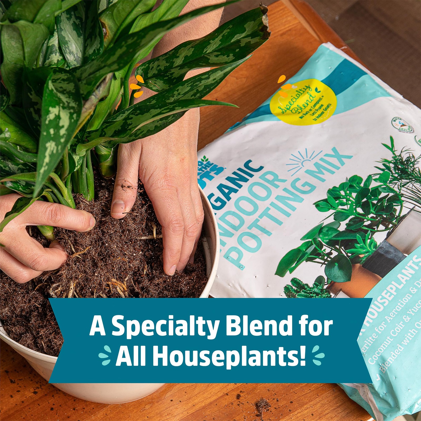 Back to the Roots 100% Organic Indoor Potting Mix (6 Quart, Soil