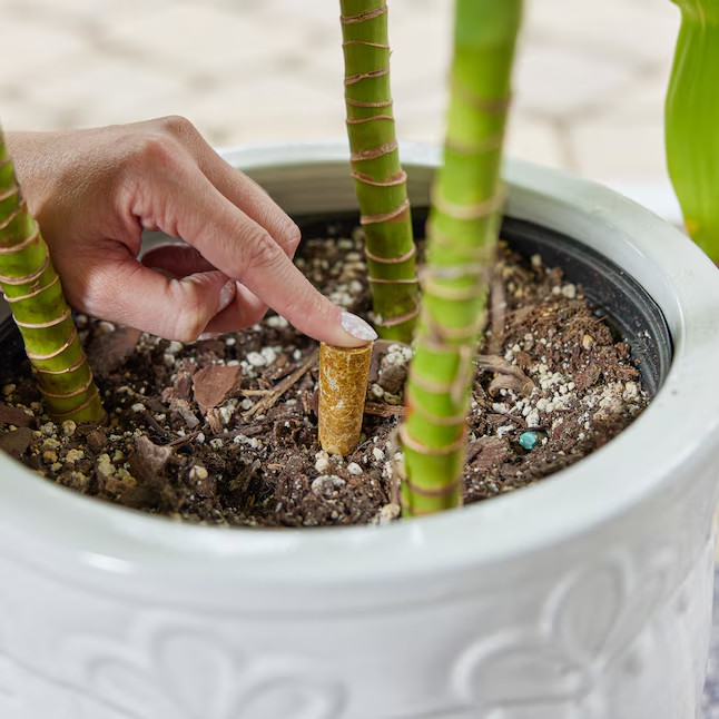 Sta-Green Mini Plant Food Spike Houseplant 18-Count