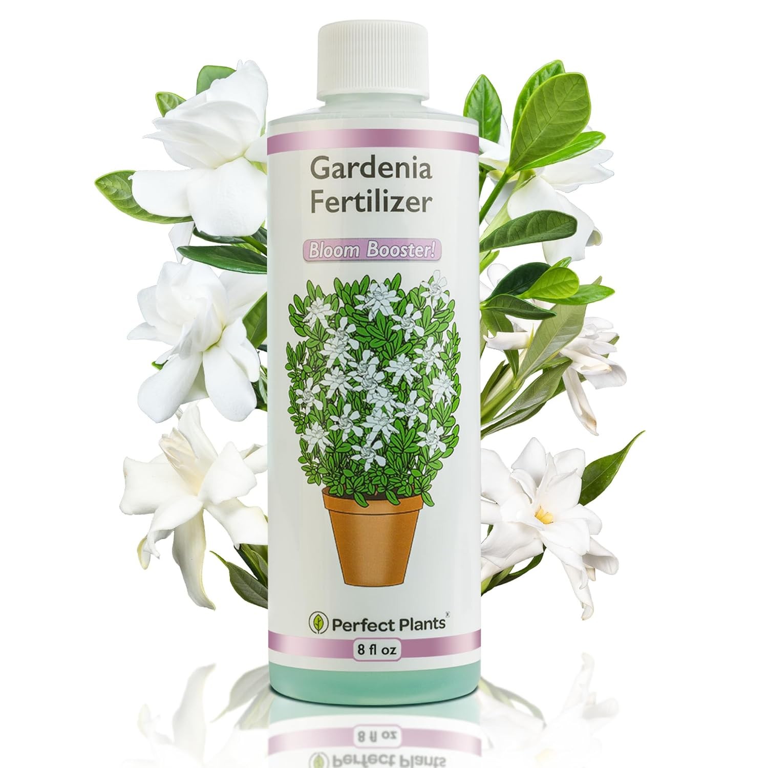 Liquid Snake Plant Fertilizer 8oz. of Premium Concentrated Sansevieria Food Use