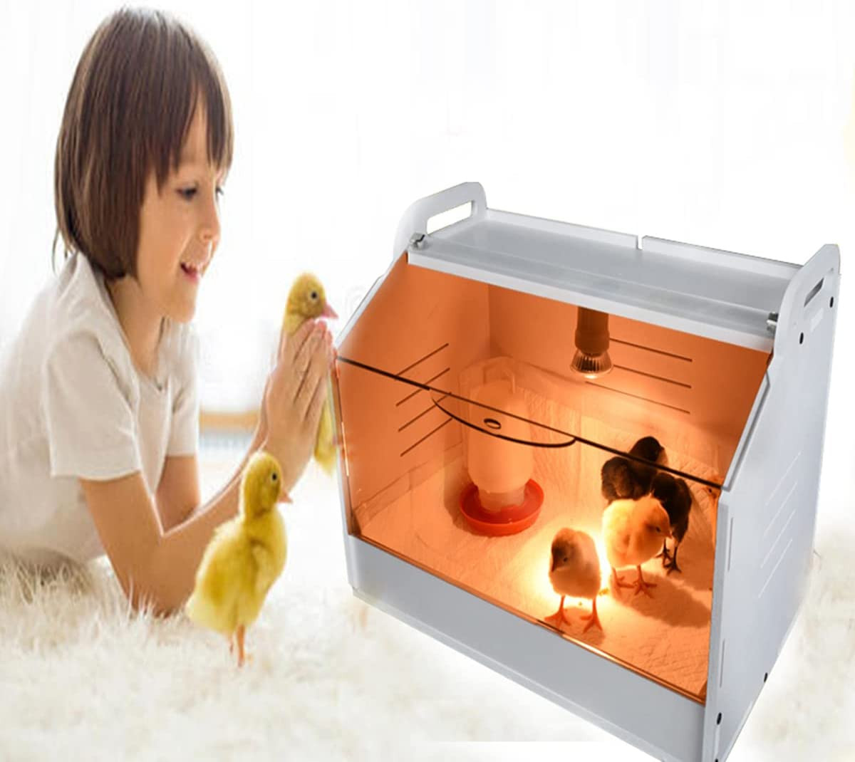 WIONBE Intelligent Brooder Box 10-15 Newborns Chicks Quail Birds Small Animals M