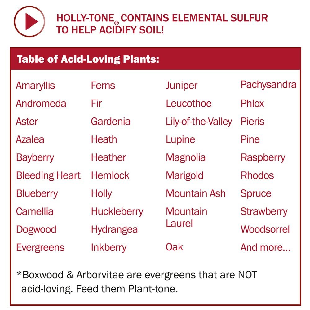 Holly Tone Organic Fertilizer for Acid Loving Plants 2 Bags 4 lb Each