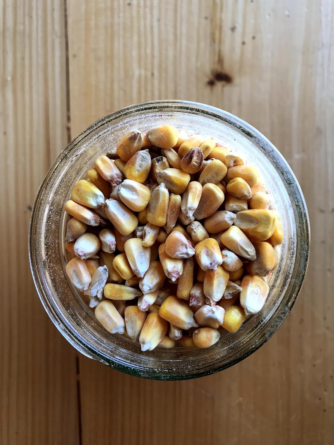 Whole Corn – Perfect Feed for Deer, Squirrels, Chickens, Ducks, Rabbits, Geese,