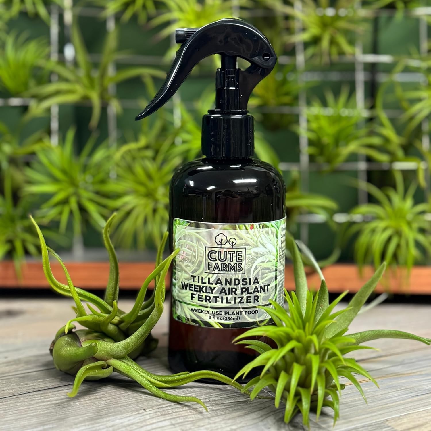 Tillandsia Air Plant Fertilizer | Gentle Weekly Use Formula Plant Food | Formula