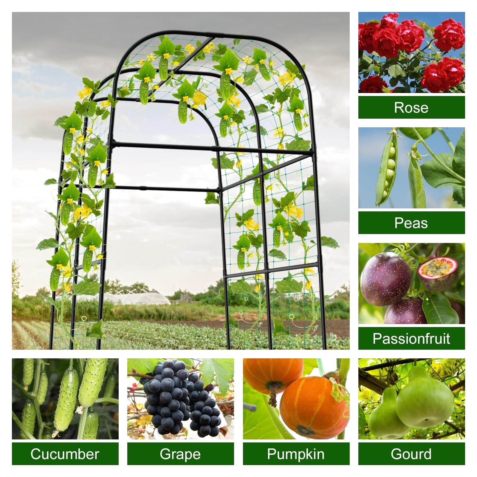 7ft Cucumber Trellis for Raised Bed, Garden Arch Trellis for Climbing Plants …